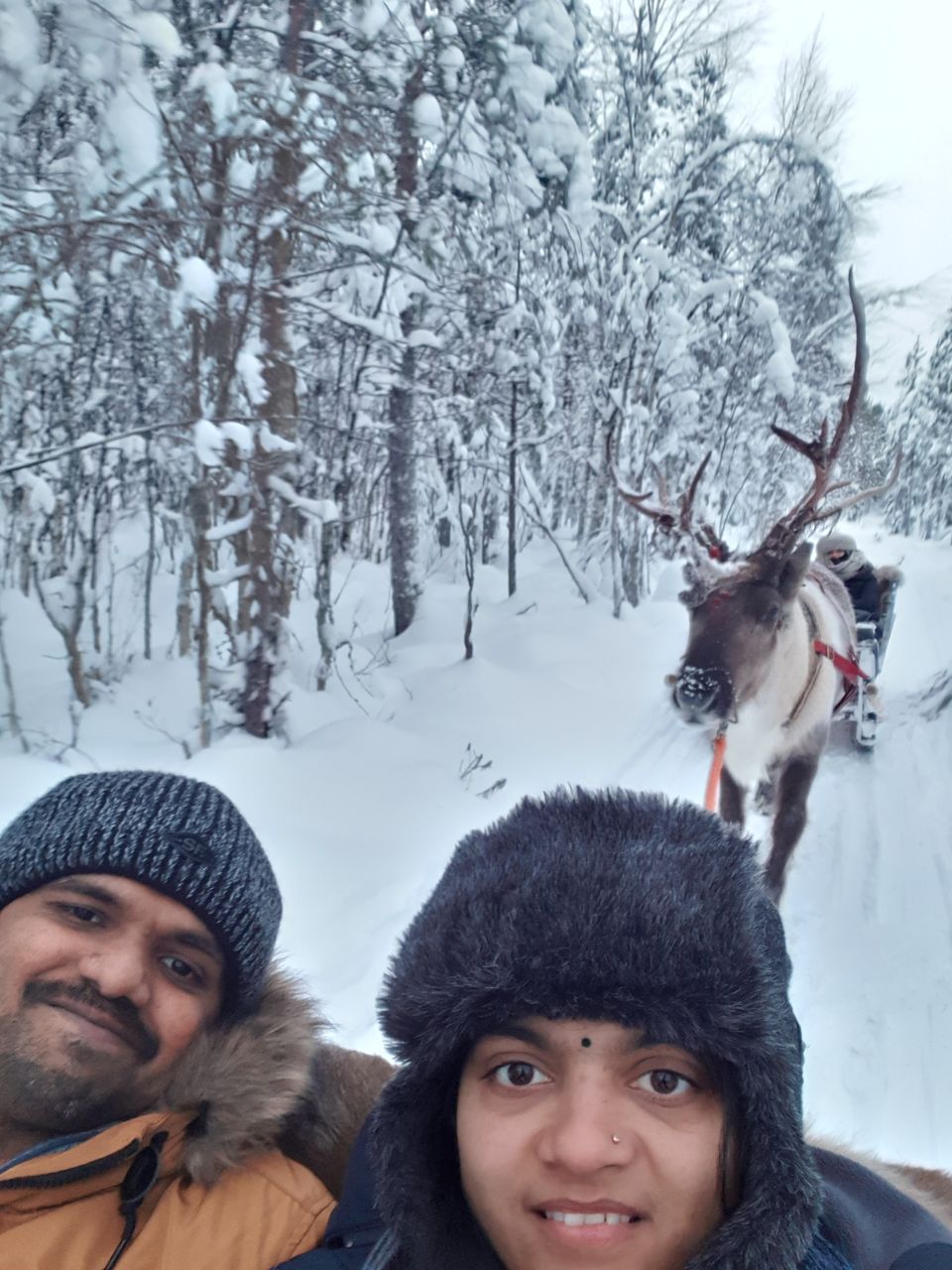 Photo of Glimpses of Arctic life as tourist in Rovaniemi,Lapland part of Finland by Shilpa Shenoy