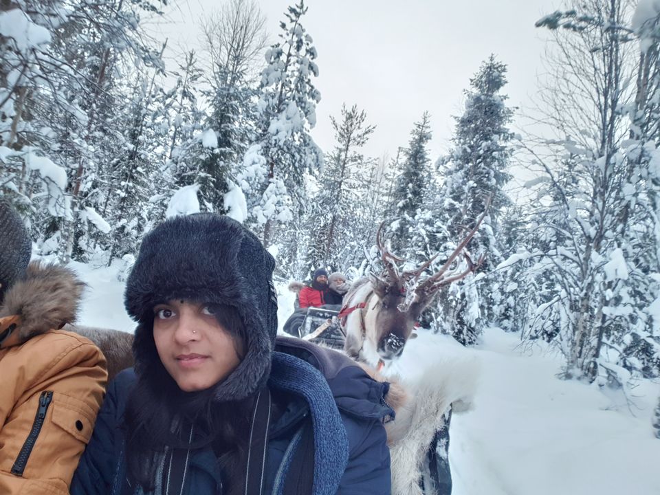 Photo of Glimpses of Arctic life as tourist in Rovaniemi,Lapland part of Finland by Shilpa Shenoy