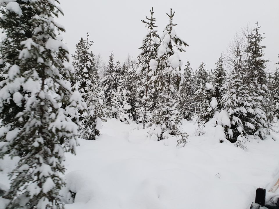 Photo of Glimpses of Arctic life as tourist in Rovaniemi,Lapland part of Finland by Shilpa Shenoy