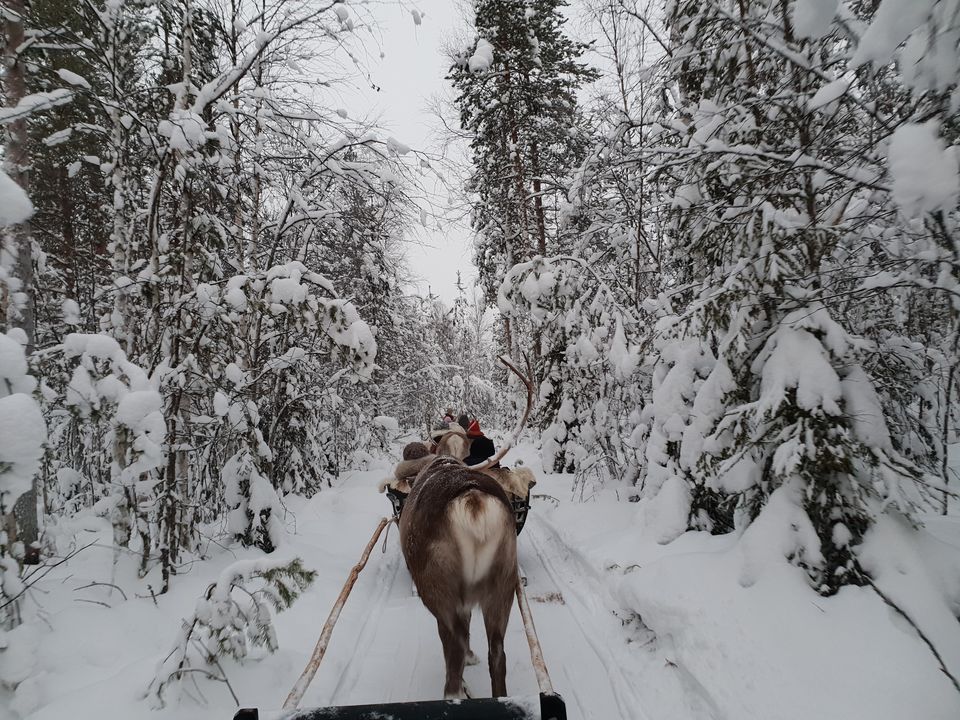 Photo of Glimpses of Arctic life as tourist in Rovaniemi,Lapland part of Finland by Shilpa Shenoy