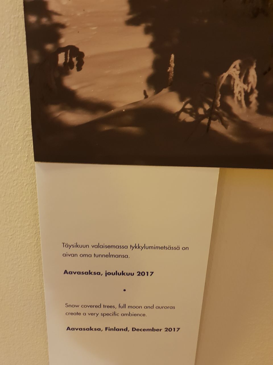 Photo of Arktikum, Pohjoisranta, Rovaniemi, Finland by Shilpa Shenoy