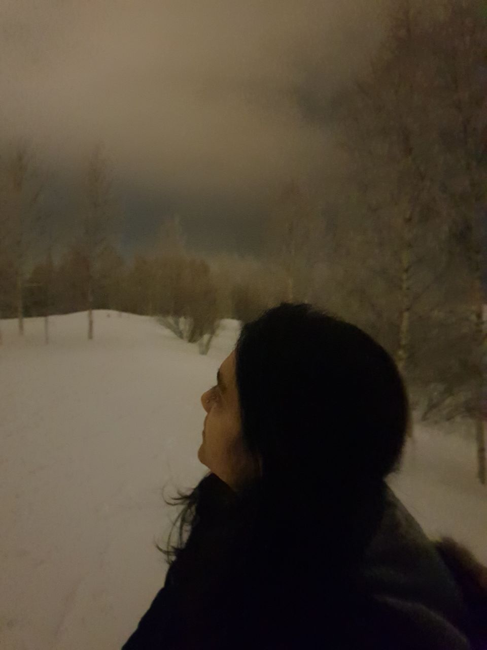 Photo of Arktikum's Park, Rovaniemi, Finland by Shilpa Shenoy