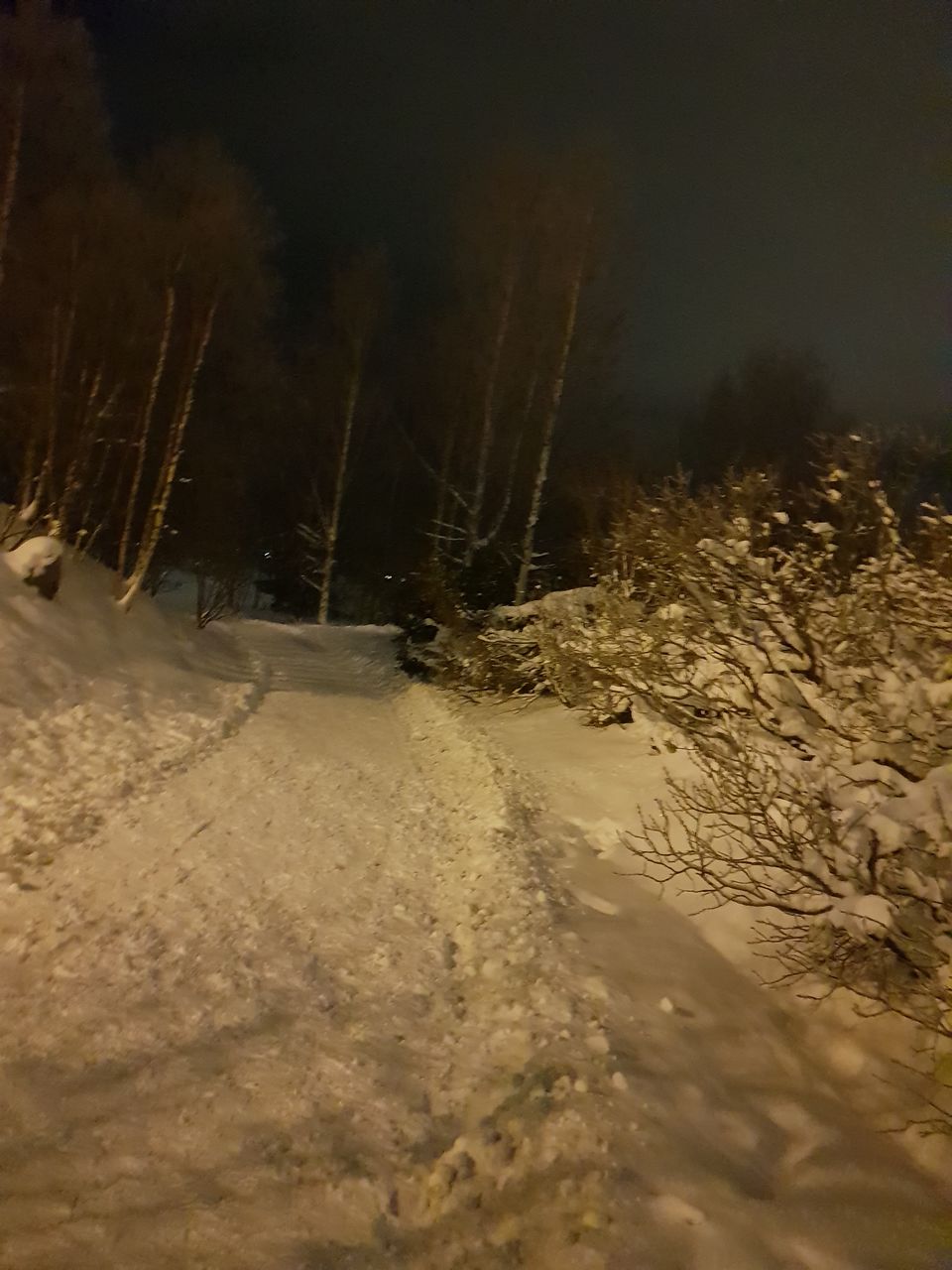 Photo of Arktikum's Park, Rovaniemi, Finland by Shilpa Shenoy