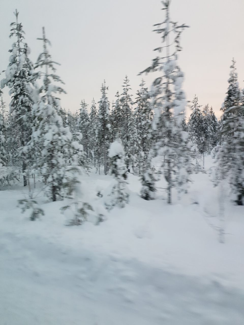 Photo of Arctic Lifestyle Oy, Koskikatu, Rovaniemi, Finland by Shilpa Shenoy