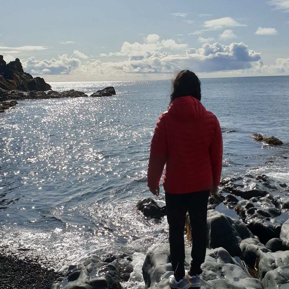 Photo of Iceland - land of contrasts - Part 2 - Day 3 35/78 by Shilpa Shenoy