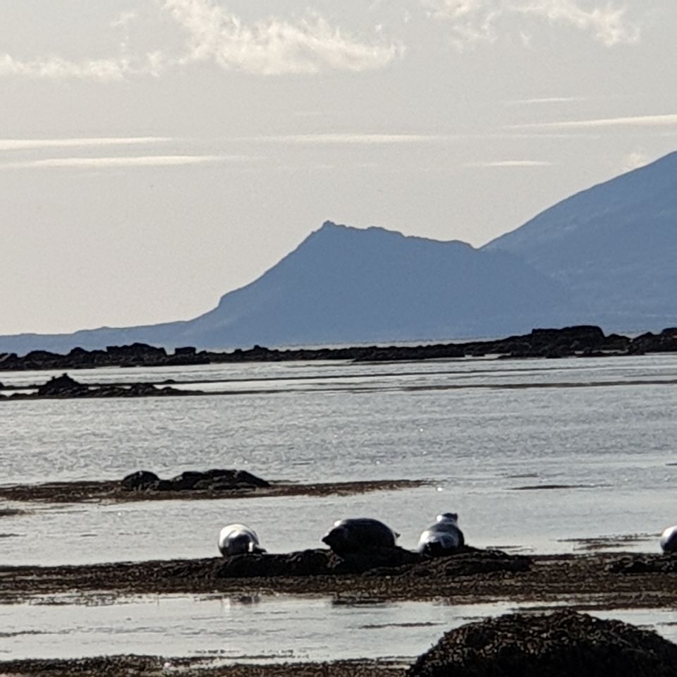 Photo of Iceland - land of contrasts - Part 2 - Day 3 59/78 by Shilpa Shenoy