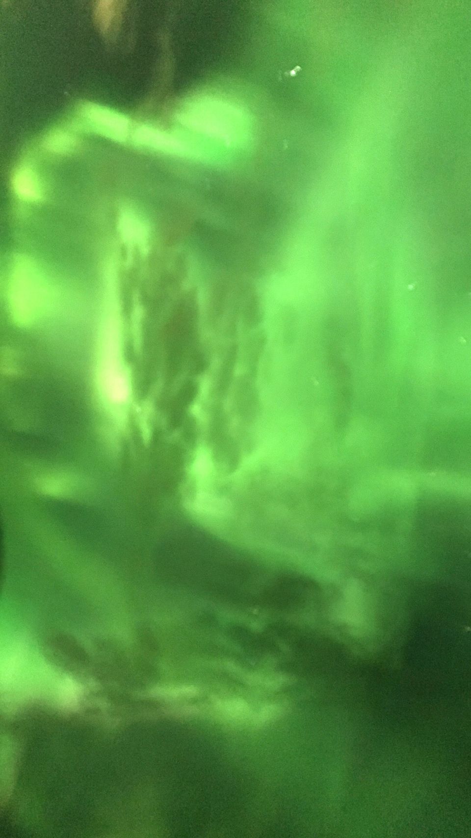 Photo of Iceland - land of contrasts - Part 2 - Day 3 71/78 by Shilpa Shenoy