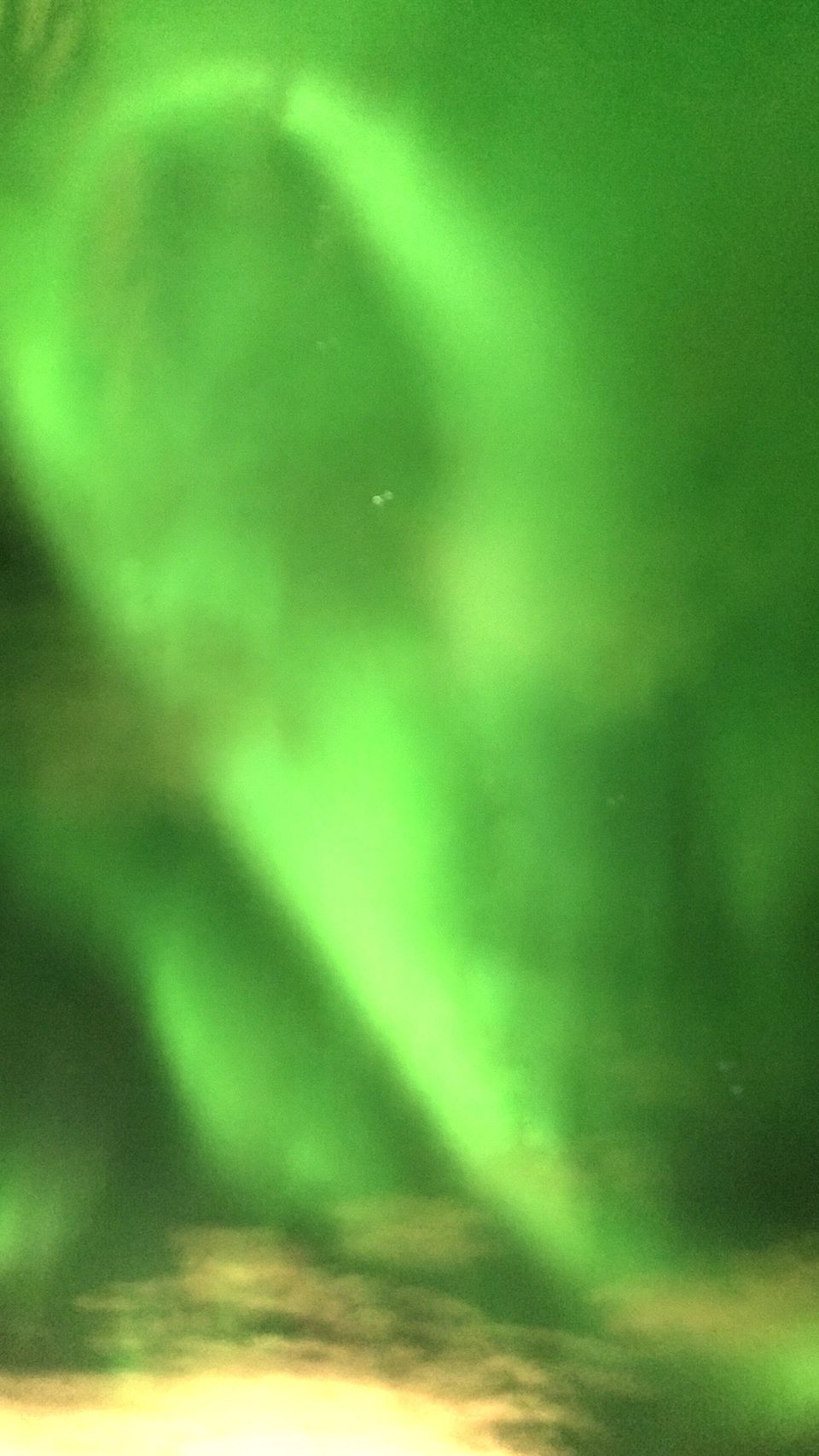 Photo of Iceland - land of contrasts - Part 2 - Day 3 75/78 by Shilpa Shenoy
