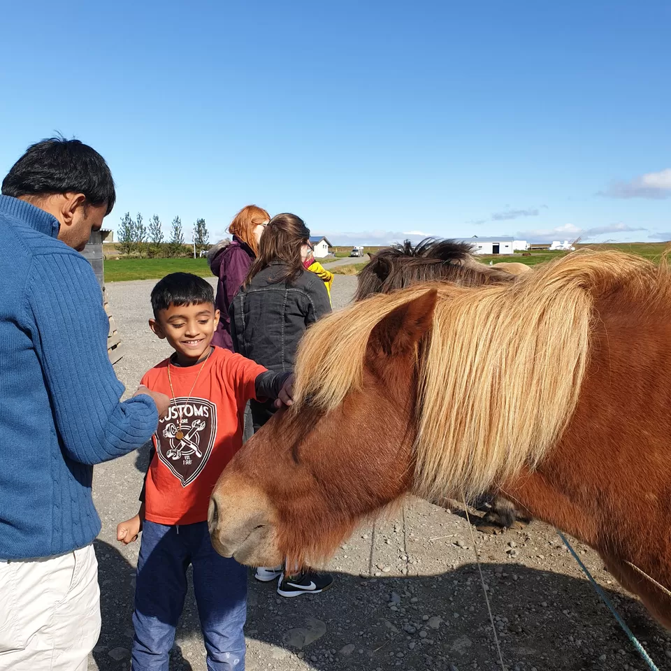 Photo of Iceland - land of natural wonders - Part 3 - Day 4 & 5 by Shilpa Shenoy