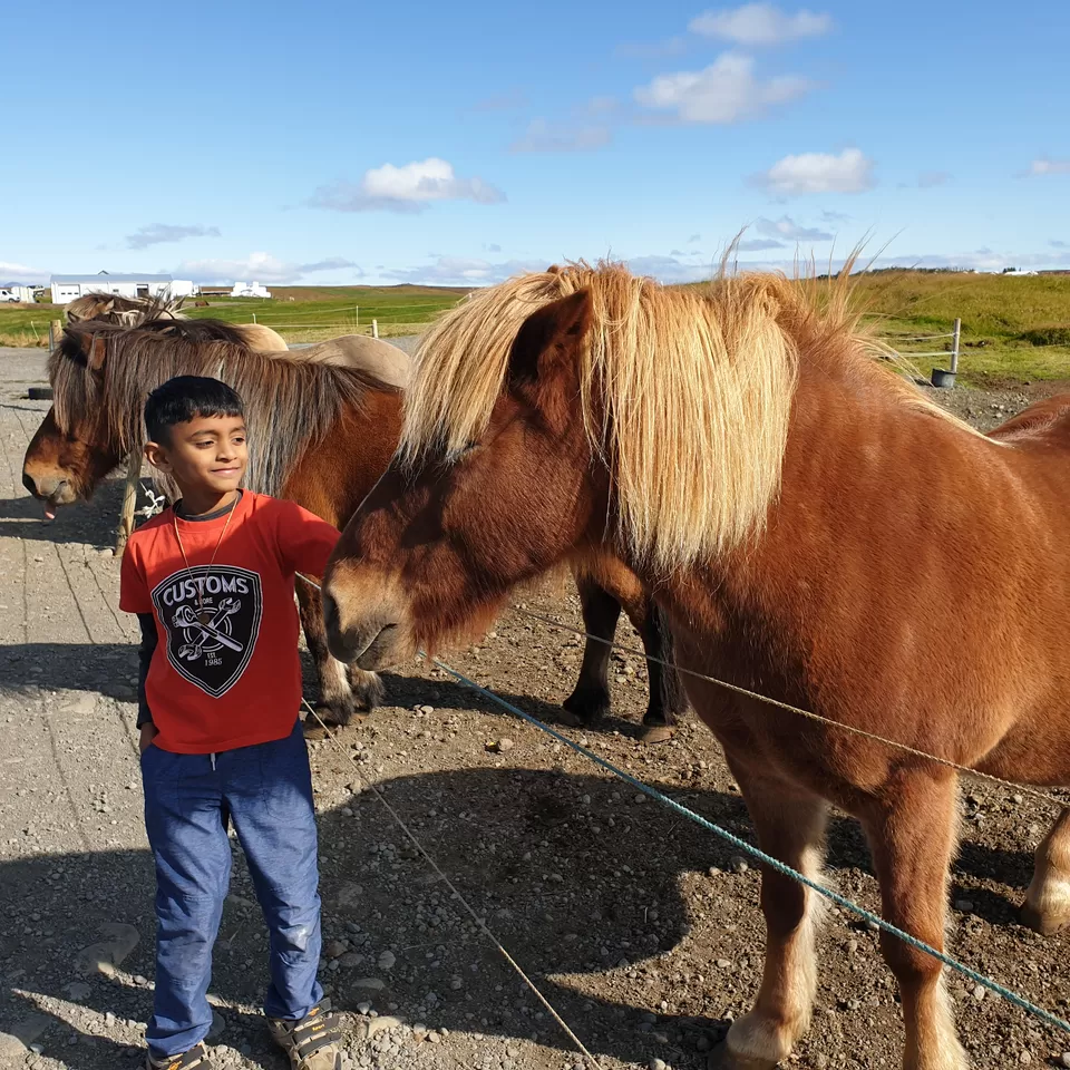 Photo of Iceland - land of natural wonders - Part 3 - Day 4 & 5 by Shilpa Shenoy