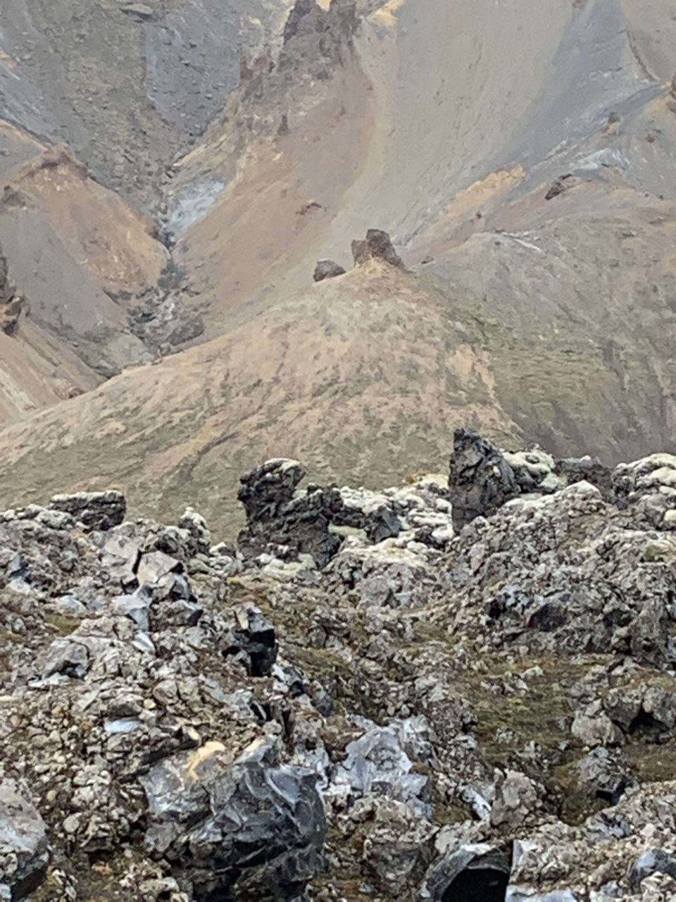 Photo of Iceland - Photographers and Geologists paradise - Part 4 - Day 6 14/40 by Shilpa Shenoy