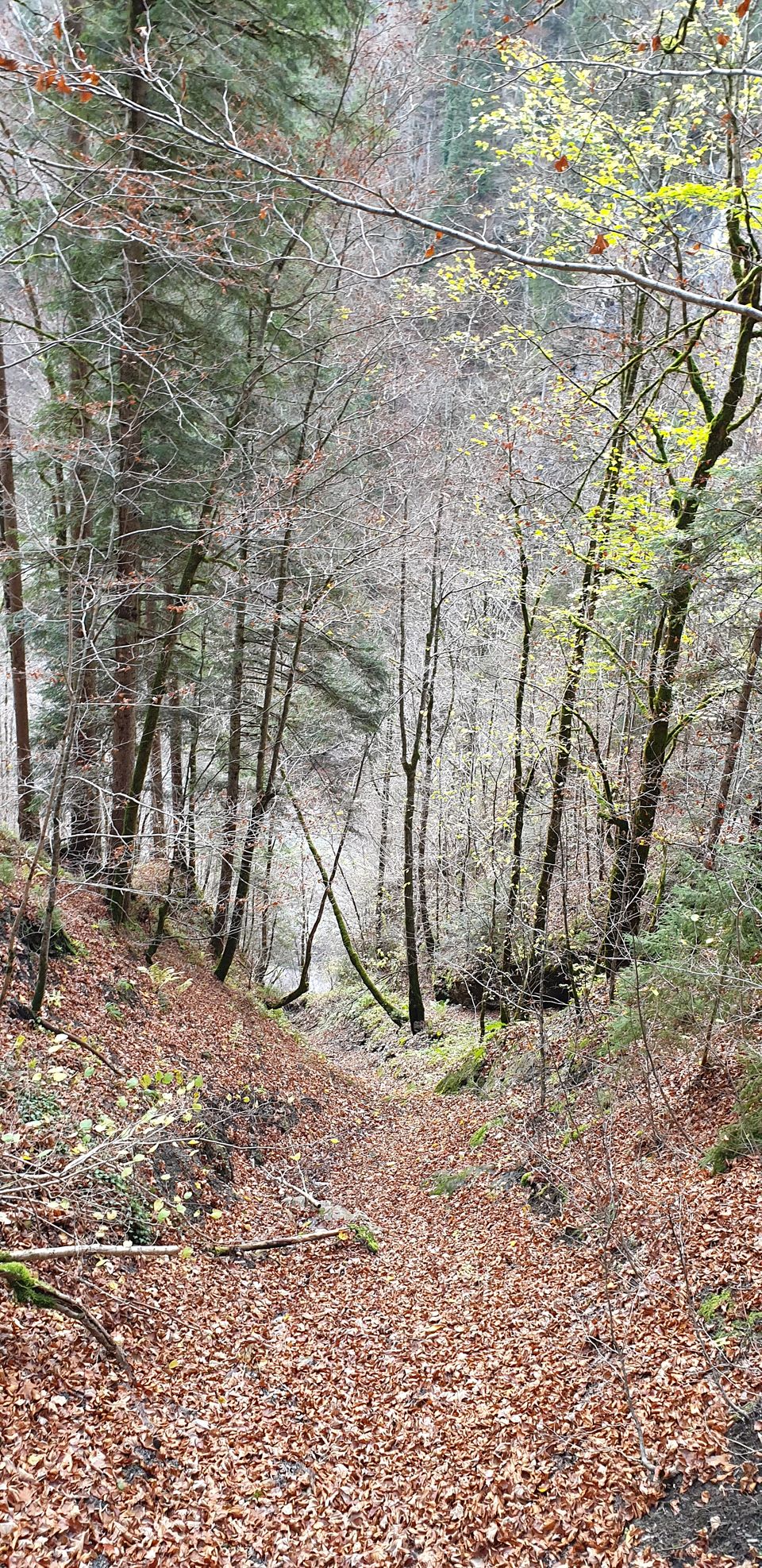 Photo of Partnachklamm, Garmisch-Partenkirchen, Germany by Shilpa Shenoy