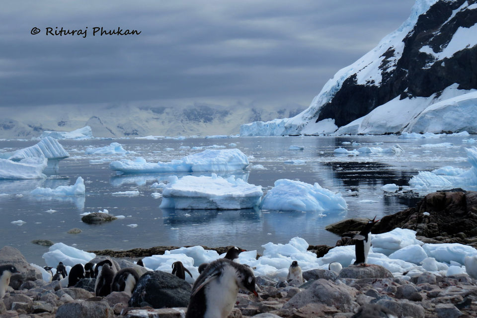 Photo of Antarctica: The Last Great Wilderness by Rituraj Phukan