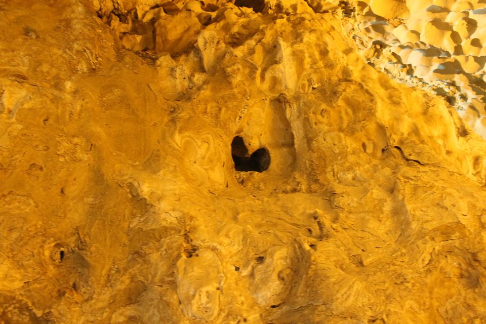 Photo of Vietnam- Halong Bay cruise from Hanoi 13/19 by Vandana K