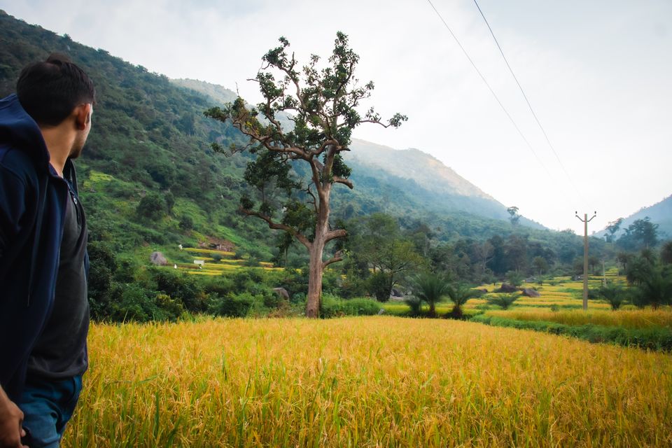 Photo of MAHENDRAGIRI - A GLIMPSE TO THE PARADISE 10/17 by Siddharth Bisoyi