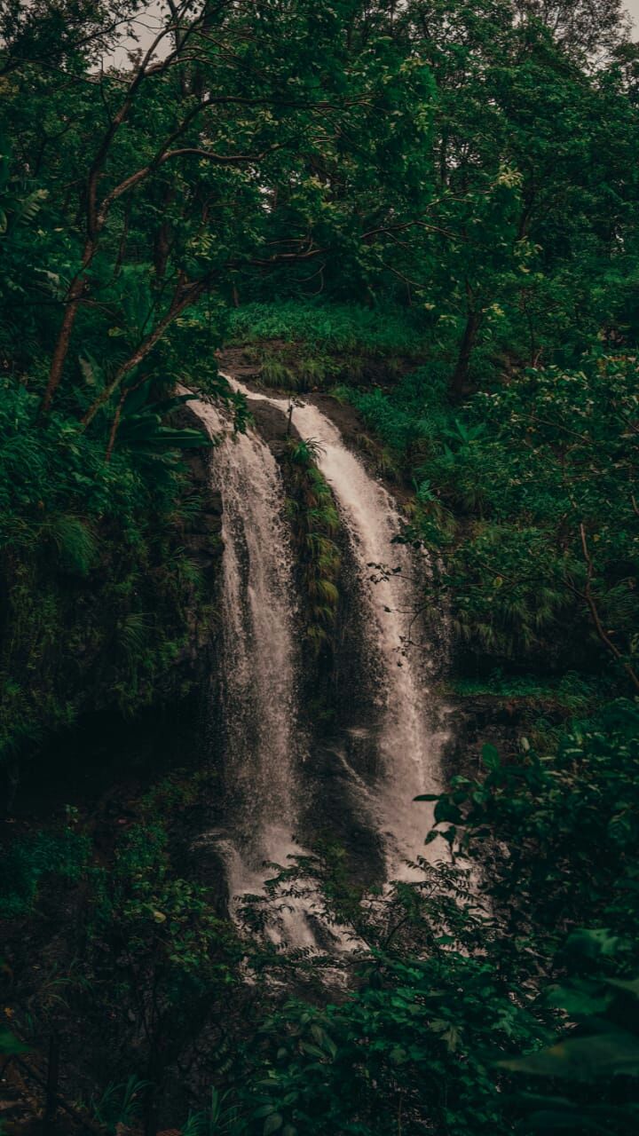 Photo of Pandva caves by Mayur Patel
