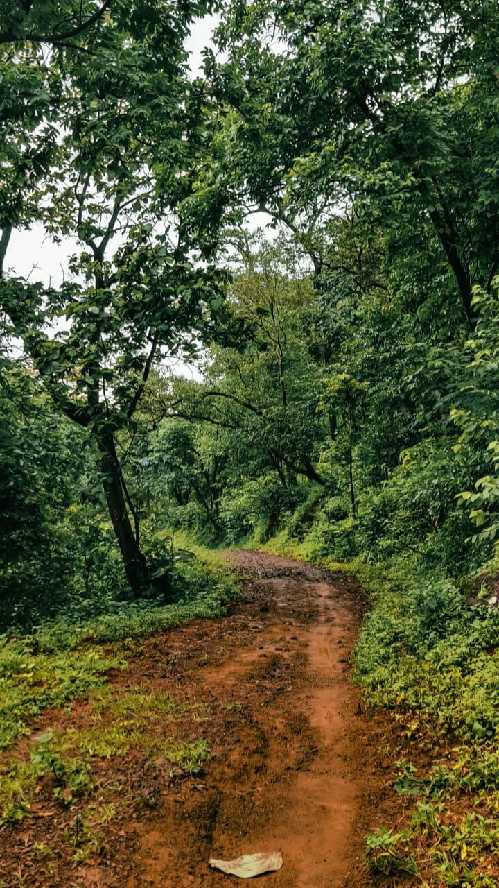Photo of Pandva caves by Mayur Patel