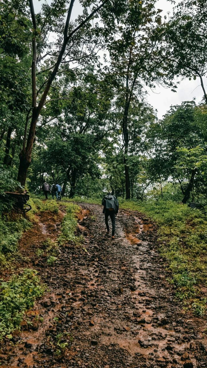 Photo of Pandva caves by Mayur Patel