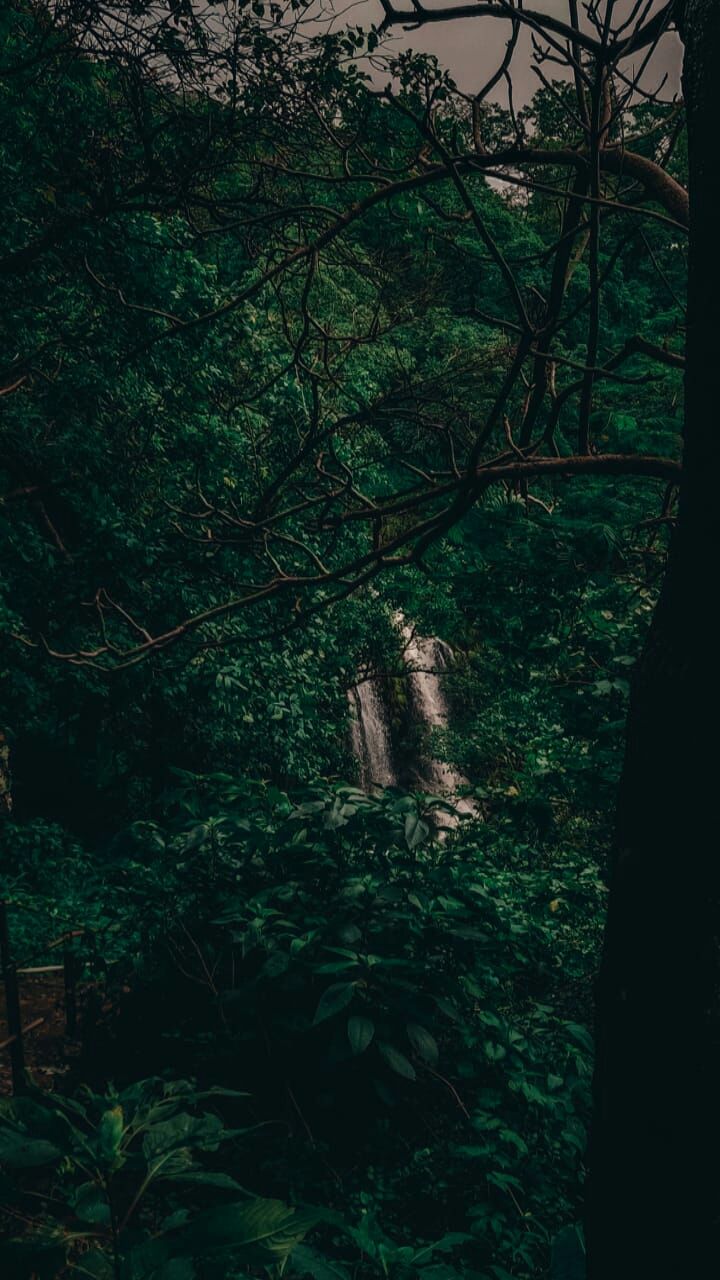 Photo of Pandva caves by Mayur Patel