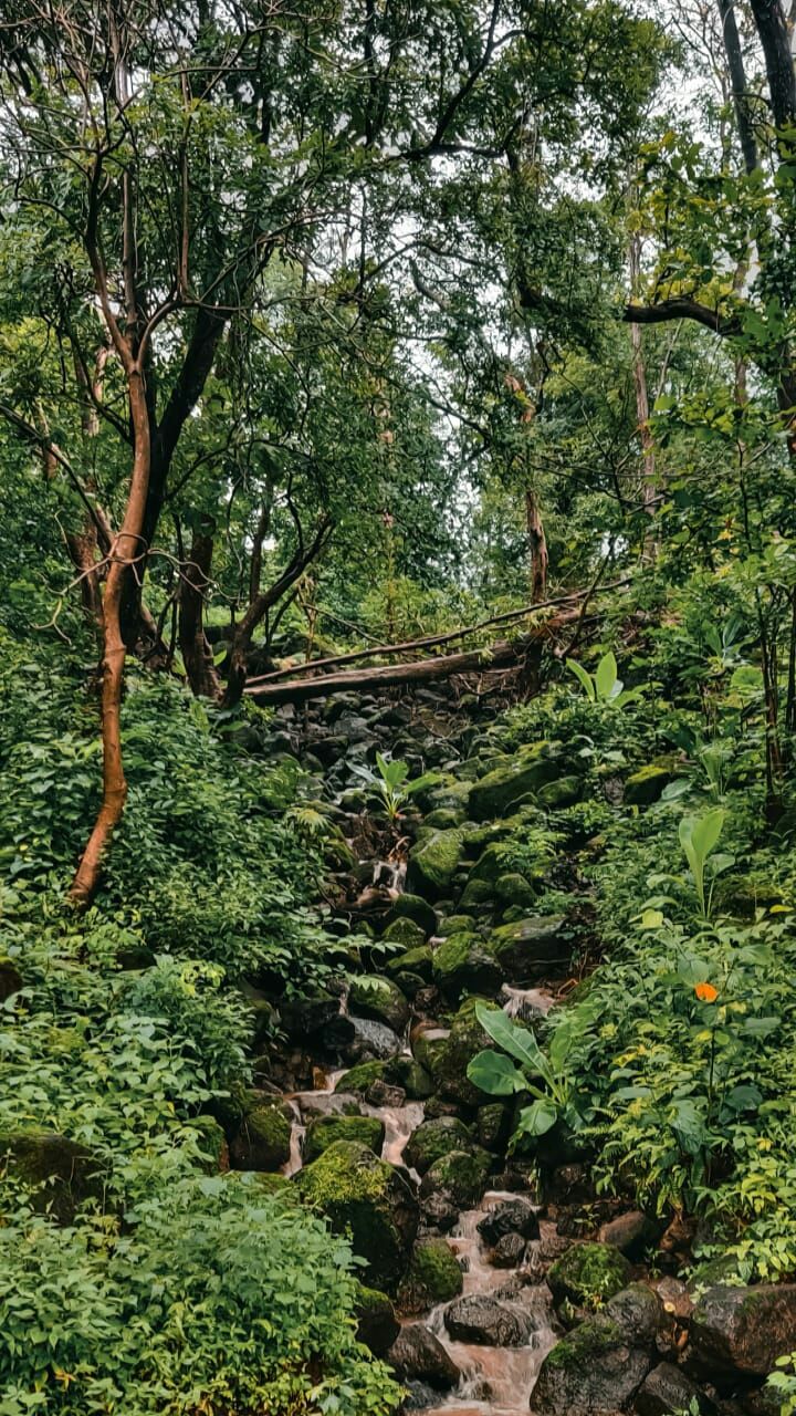 Photo of Pandva caves by Mayur Patel