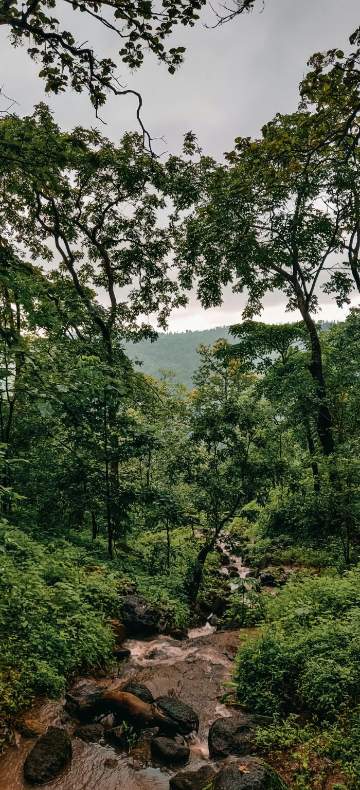 Photo of Pandva caves by Mayur Patel