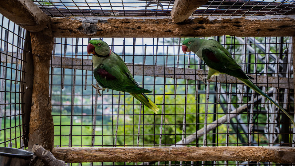 Photo of Solo Travel to Himachal Pradesh after Lockdown – How I made it happen. 5/7 by Drive N Explore