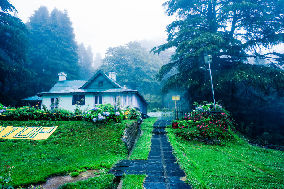 Photo of Solo Travel to Himachal Pradesh after Lockdown – How I made it happen. 7/7 by Drive N Explore