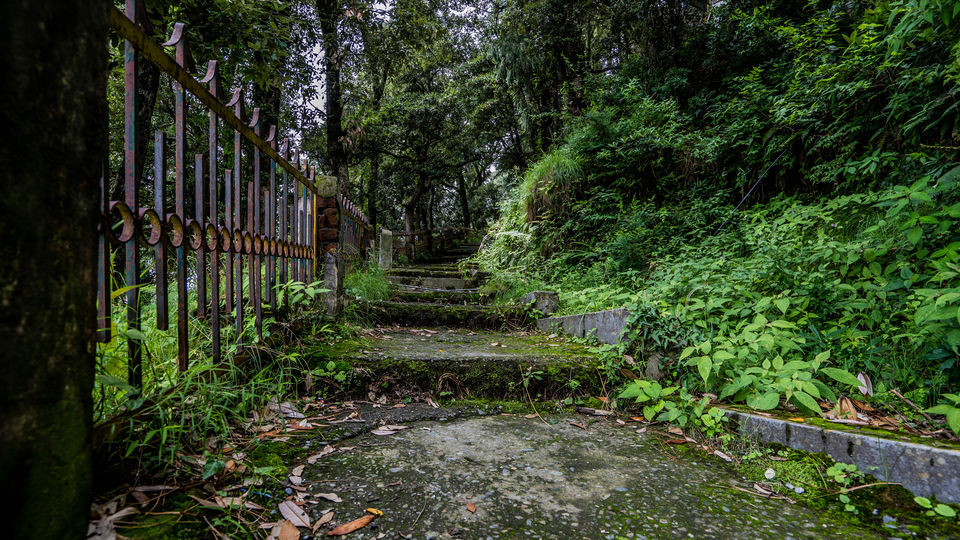 Photo of Want to see the Best of Himachal? 6/24 by Drive N Explore