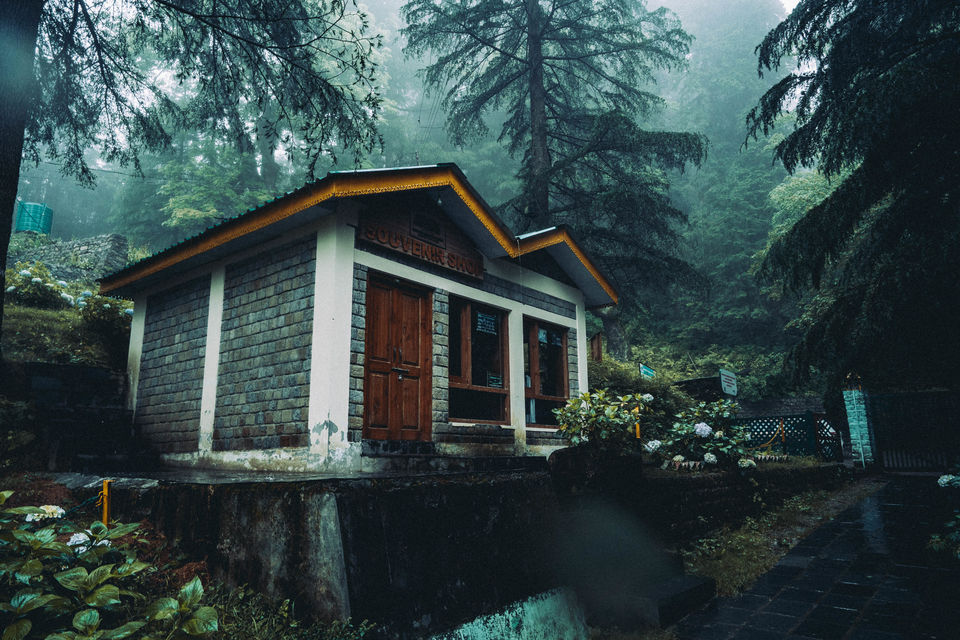 Photo of Want to see the Best of Himachal? 11/24 by Drive N Explore