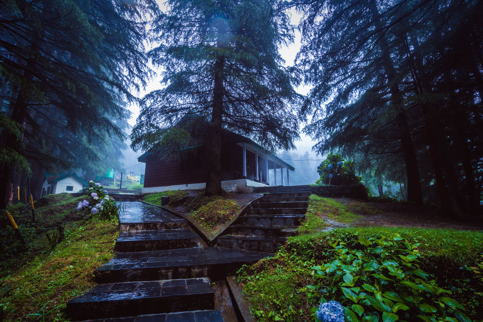 Photo of Want to see the Best of Himachal? 12/24 by Drive N Explore