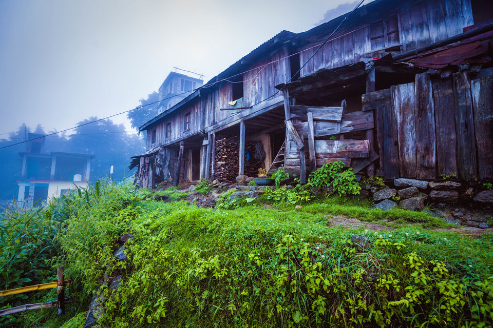 Photo of Want to see the Best of Himachal? 14/24 by Drive N Explore