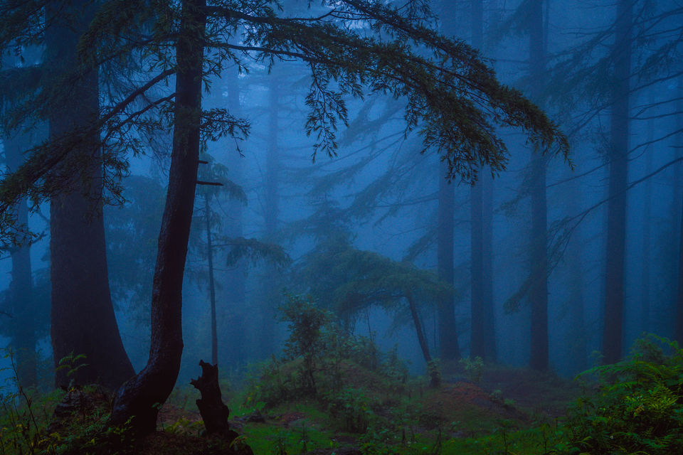 Photo of Want to see the Best of Himachal? 15/24 by Drive N Explore