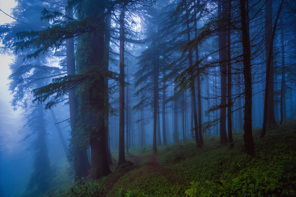 Photo of Want to see the Best of Himachal? 16/24 by Drive N Explore