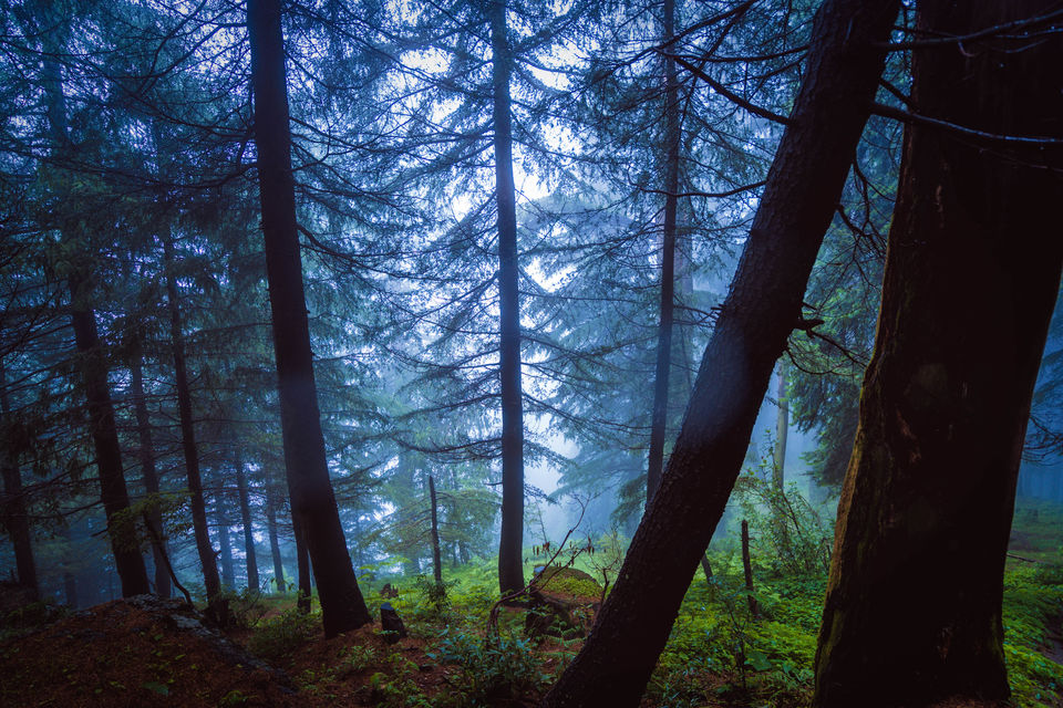 Photo of Want to see the Best of Himachal? 17/24 by Drive N Explore