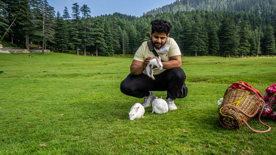 Photo of Want to see the Best of Himachal? by Drive N Explore