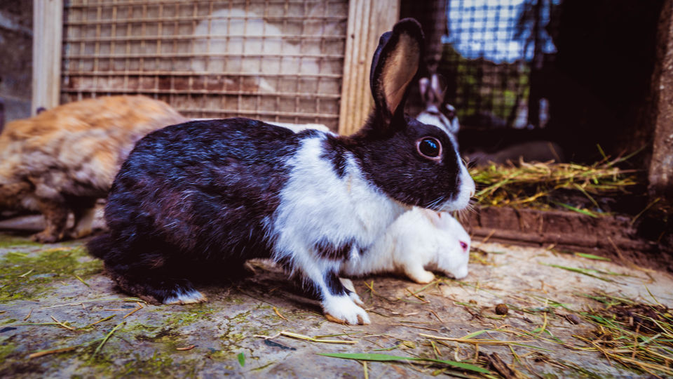 Photo of Want to see the Best of Himachal? 3/24 by Drive N Explore