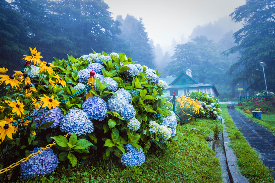 Photo of Want to see the Best of Himachal? 23/24 by Drive N Explore