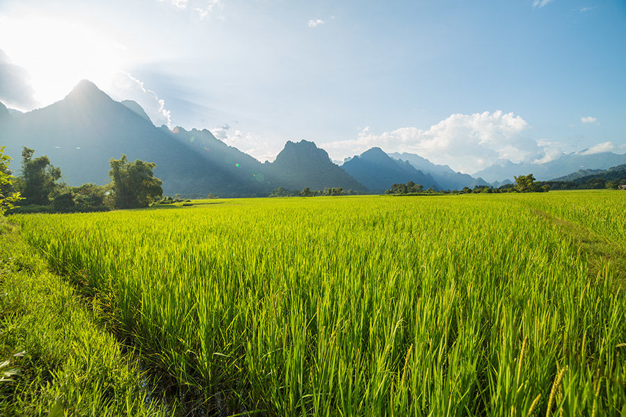 Photo of Cycling The Gorgeous Countryside of Vang Vieng, Laos by Julien Mordret
