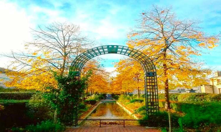Photo of Autumn colors of Paris 2/5 by Enotus