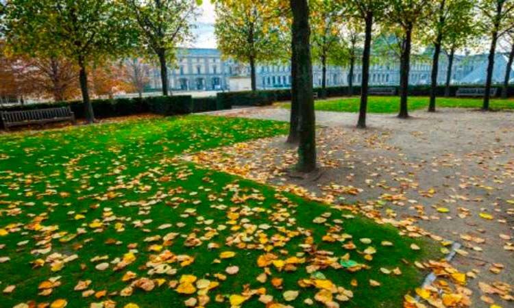 Photo of Autumn colors of Paris 4/5 by Enotus