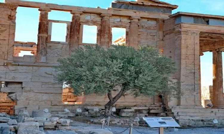 Photo of Weekend trip to Athens 5/5 by Enotus