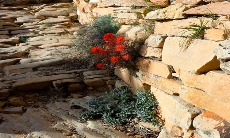 Photo of Trip to the Grand Canyon 5/5 by Enotus