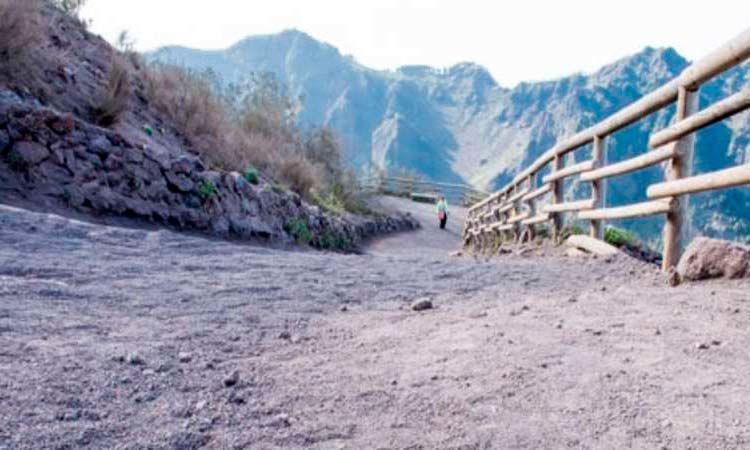 Photo of Excursion to Vesuvius from Naples 2/5 by Enotus