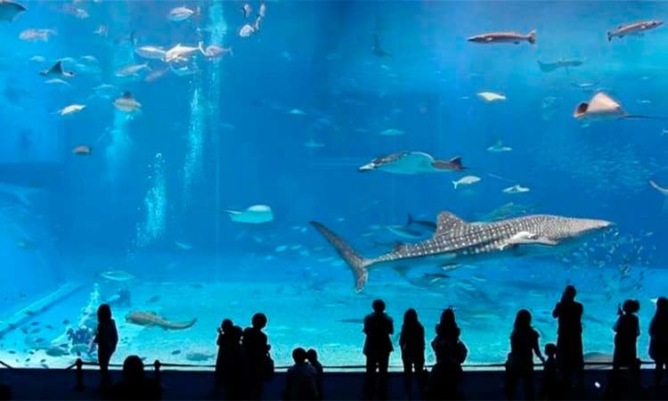 Photo of An unforgettable trip to Barcelona Aquarium 4/5 by Enotus