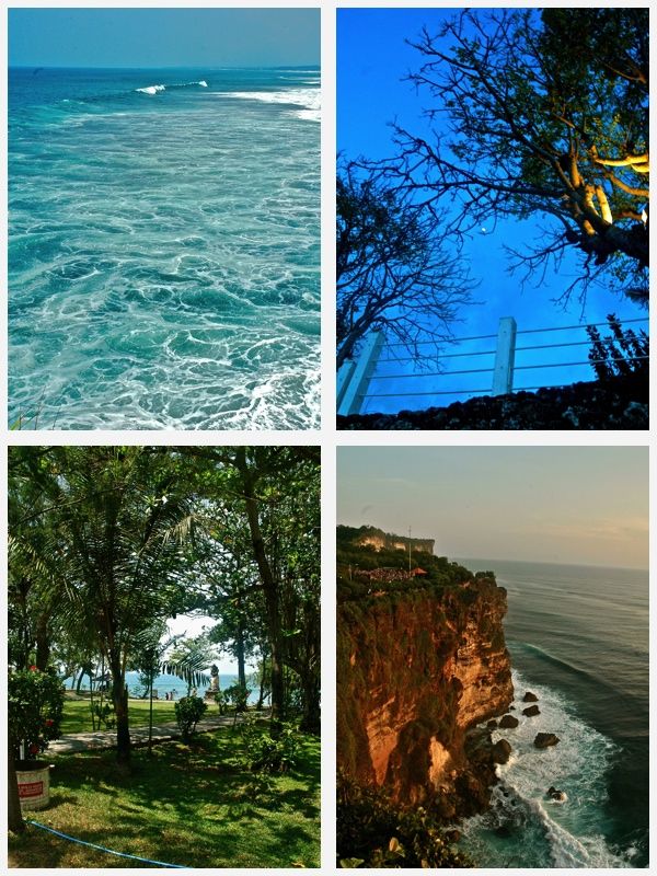 Photo of Indonesia - Bukit Lawang, Yogyakarta, Bali by Sasha Menon