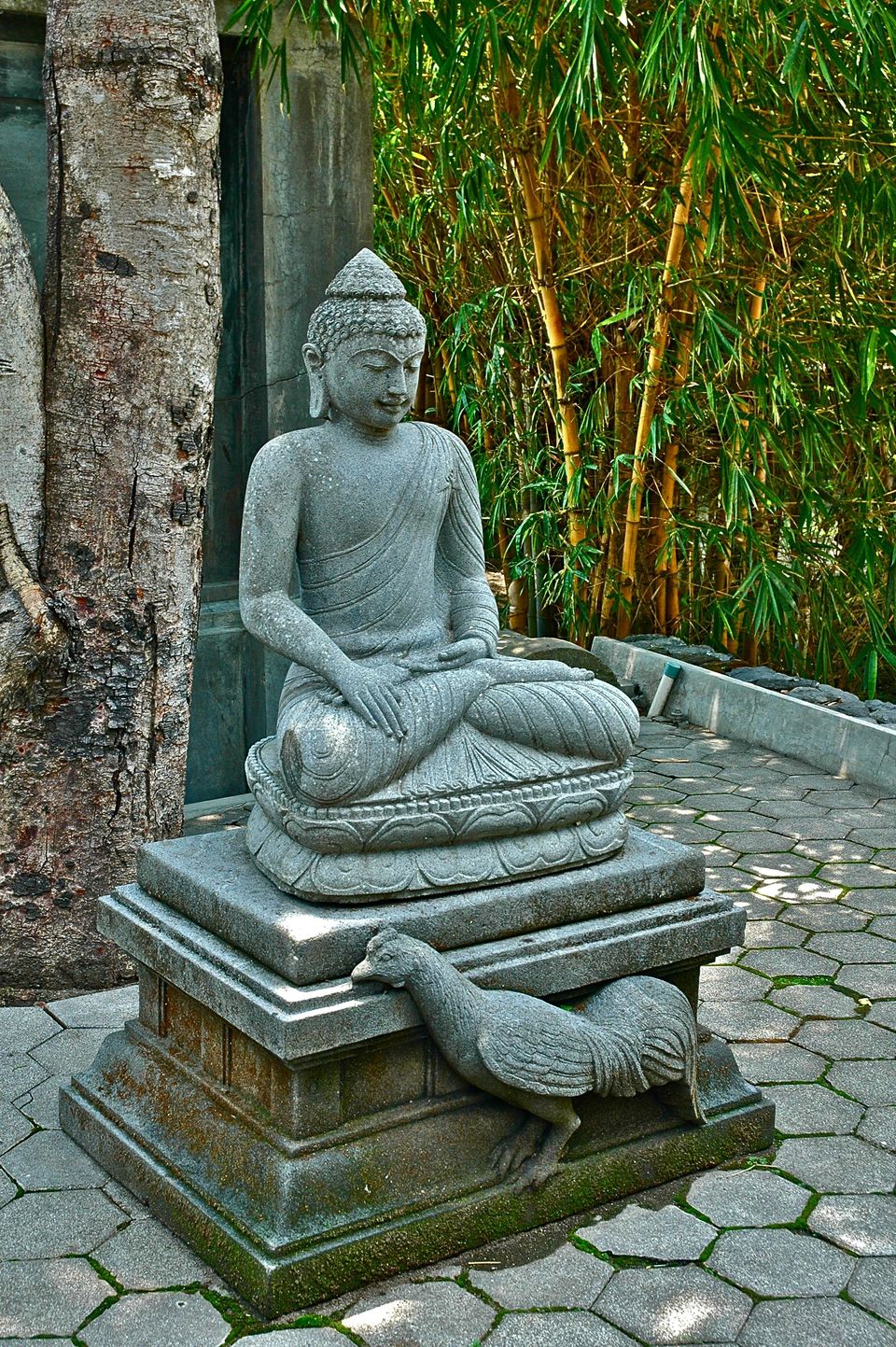 Photo of Indonesia - Bukit Lawang, Yogyakarta, Bali by Sasha Menon