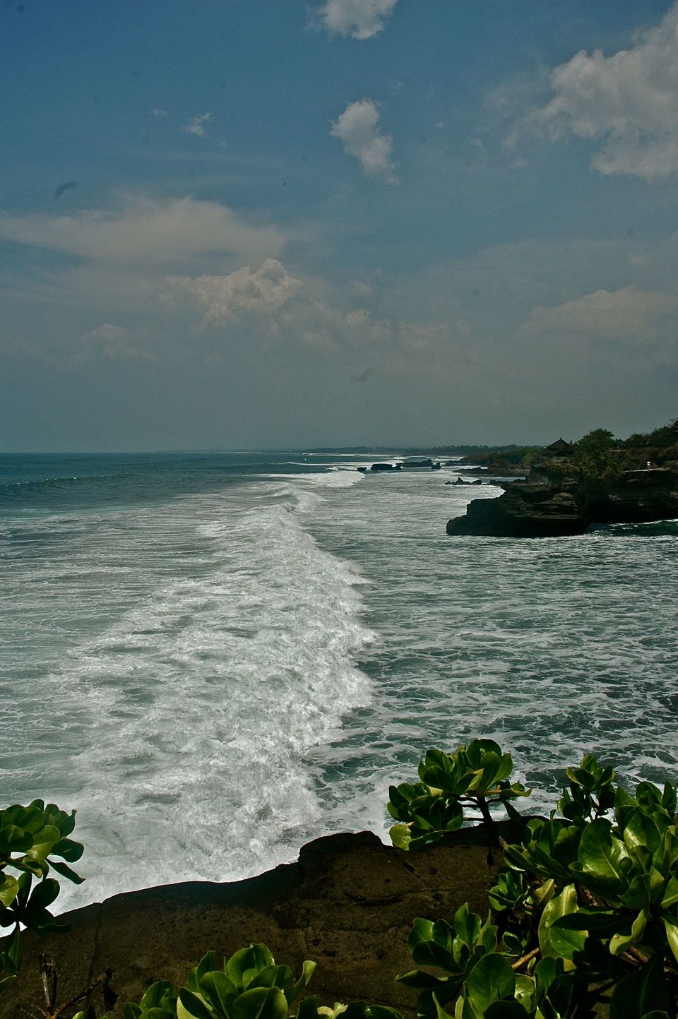 Photo of Indonesia - Bukit Lawang, Yogyakarta, Bali by Sasha Menon