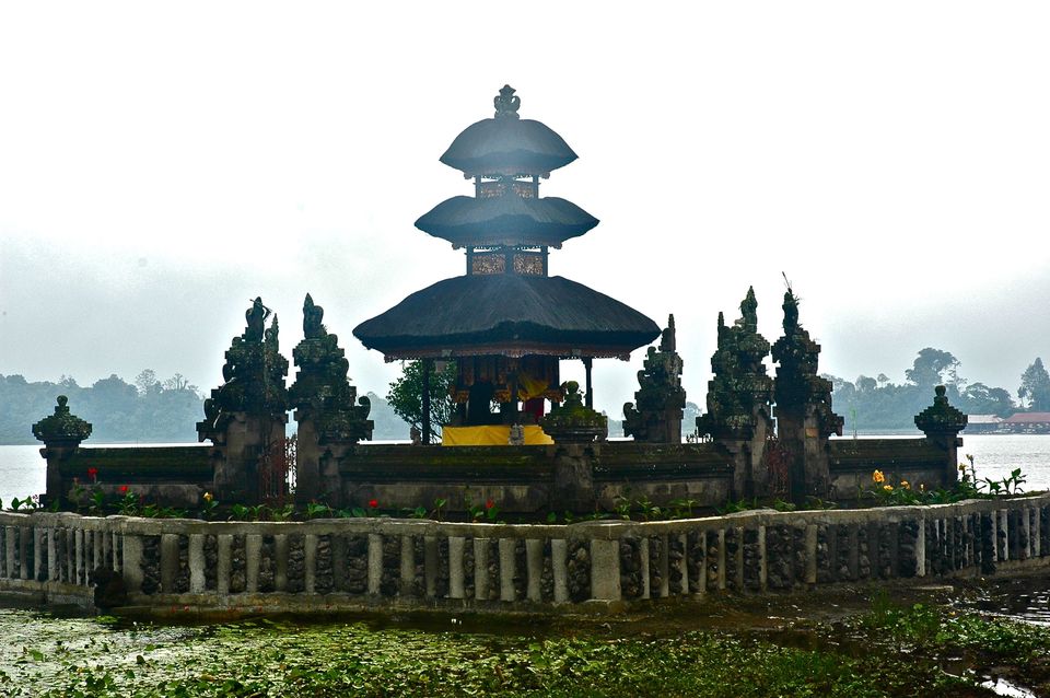 Photo of Indonesia - Bukit Lawang, Yogyakarta, Bali by Sasha Menon