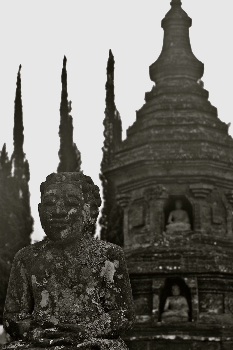 Photo of Indonesia - Bukit Lawang, Yogyakarta, Bali by Sasha Menon