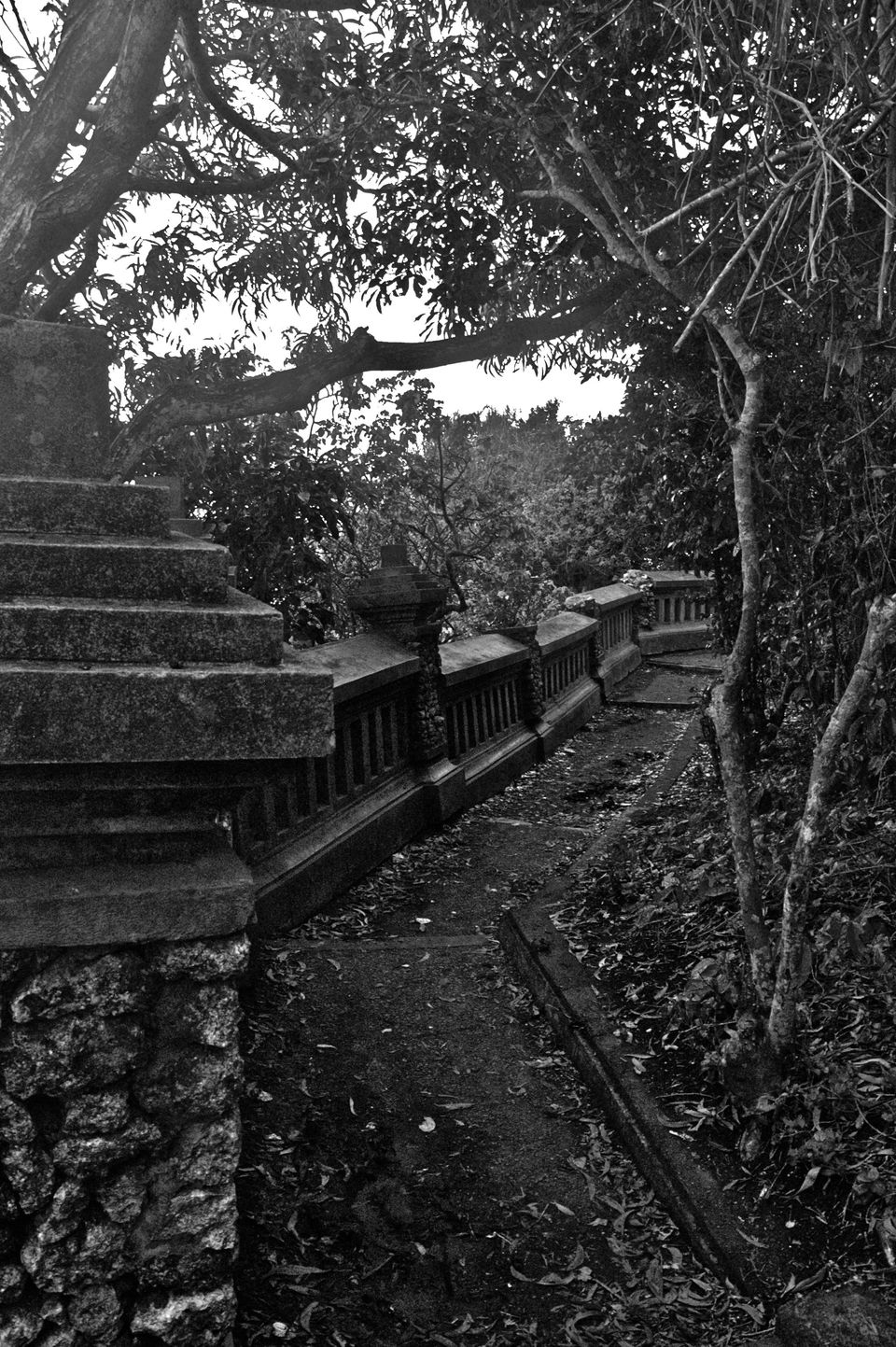 Photo of Indonesia - Bukit Lawang, Yogyakarta, Bali by Sasha Menon